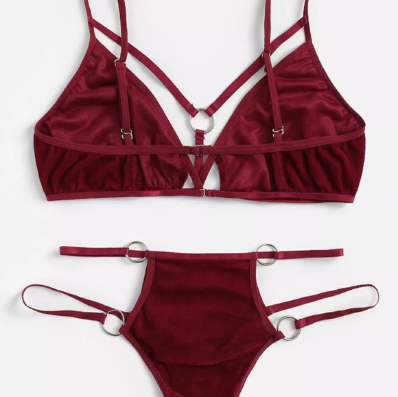 Velvet NWOT Cup Size B Med - Picture 6 of 8